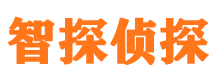 秀峰市私家侦探